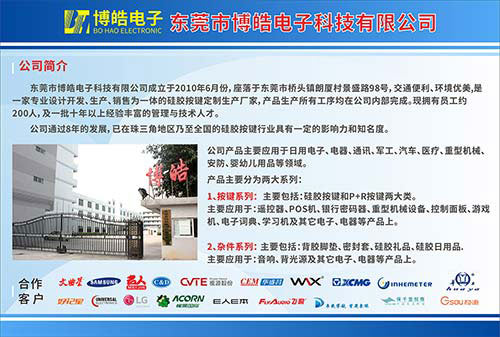 博皓公司簡(jiǎn)介